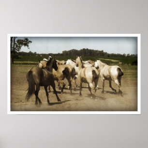 Poster Funcionamento dos cavalos