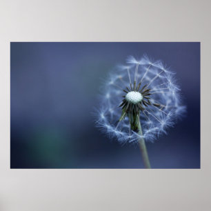 Poster Fundido afastado