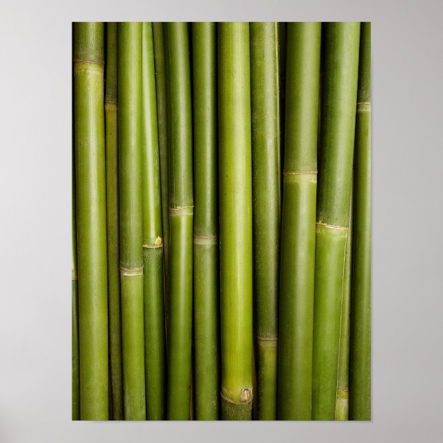 Poster Fundo Bamboo Zen Natural Modelo Personalizado (Frente)