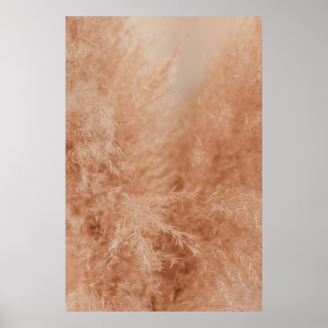 Poster Fundo Castanho (Frente)