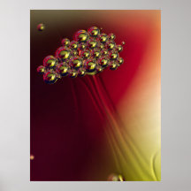 Fundo Colorido das Bolhas de Abstrato flutuante