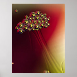 Poster Fundo Colorido das Bolhas de Abstrato flutuante