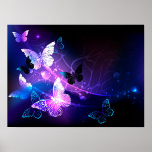Poster Fundo com Borboletas Noturnas