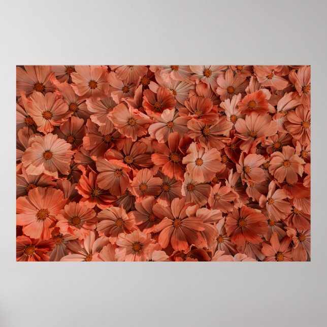 Poster Fundo com flores pastel secas. abstrato, ae (Frente)