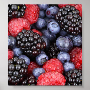 Poster Fundo da Fruta da Floresta