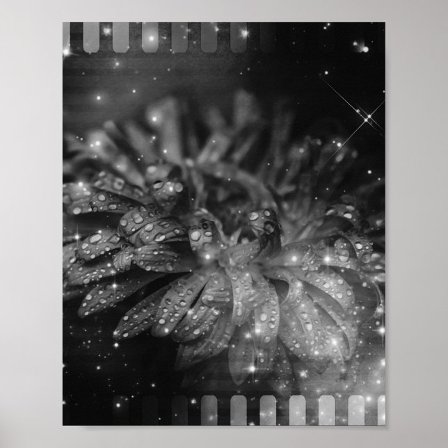Poster Fundo da Vintage Glitter Flower Film Strip (Frente)