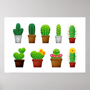 Poster Fundo de plantas Cactus