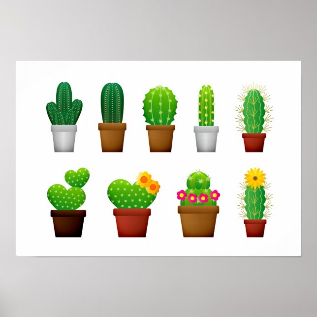 Poster Fundo de plantas Cactus (Frente)