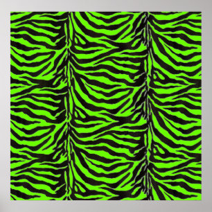 Poster Fundo de textura da pele de Zebra Neon Verde