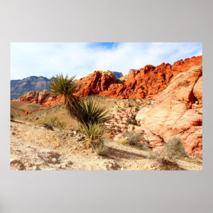 Poster Fundo do Primavera do Red Rock Canyon