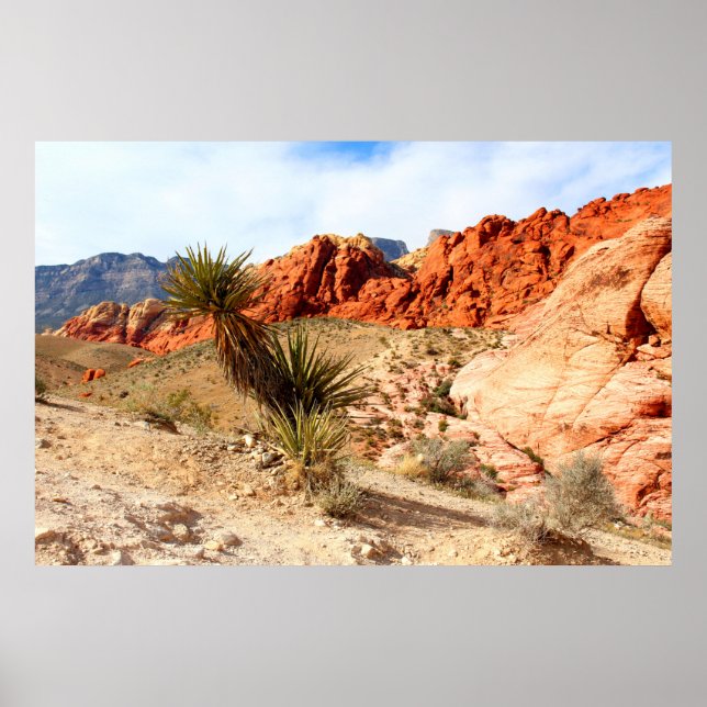 Poster Fundo do Primavera do Red Rock Canyon (Frente)