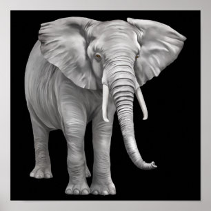Poster fundo elefante realista