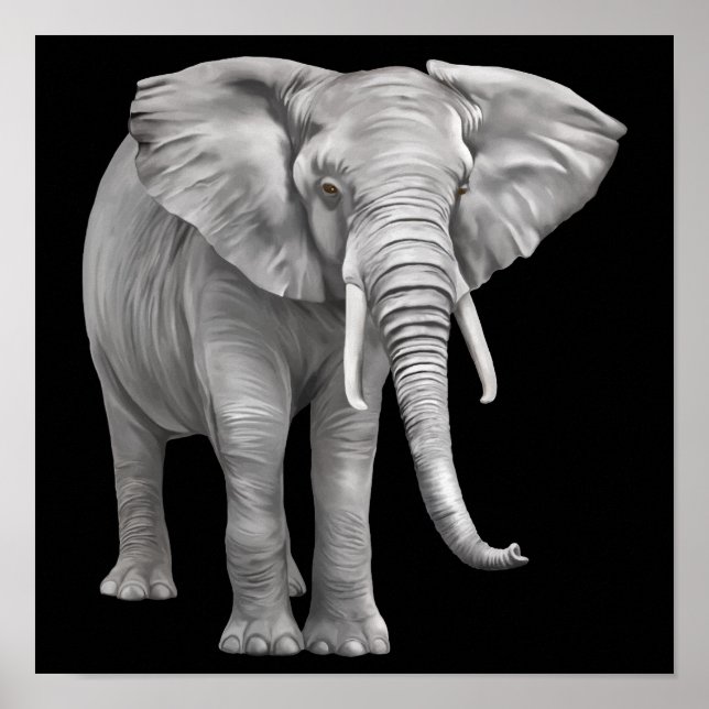 Poster fundo elefante realista (Frente)