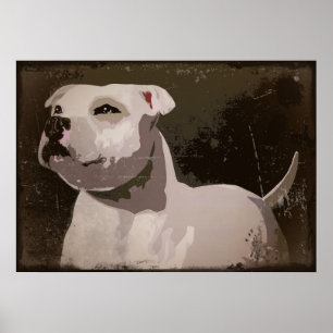 Pôster Fundo urbano branco de Staffordshire bull terrier