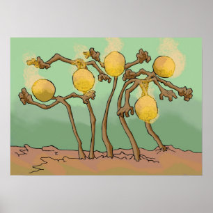 Pôster fungo do japonês-lanterna-limo