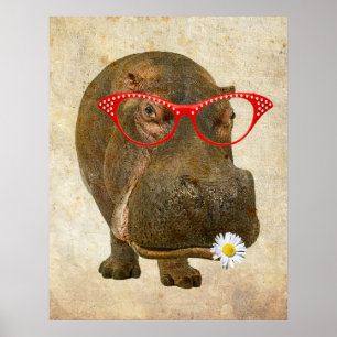 Poster Funky do Hippopotamus!