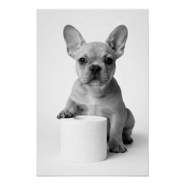 Pôster Funny Aesthetic French Bulldog Toilet Paper Photo (Frente)