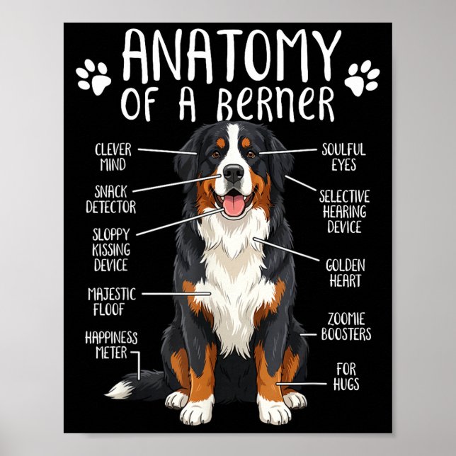 Poster Funny Anatomy Bernese Mountain Dog Cute Berner Lov (Frente)