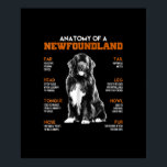 Poster Funny Anatomy Of A Newfoundland Dogs<br><div class="desc">- Funny Anatomy Of A Newfoundland Dogs
- Cute Newfie stuff and apparel for men, women, kids and the Newfie Mom.
- This dog lover design makes perfect Newfie owner gifts, birthday, Mothers or Fathers Day, or Christmas gifts for wife, her, girlfriend, husband, him, mom or dad</div>