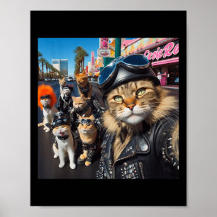 Poster Funny Biker Gata Gangster Cats Street Moto C