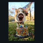 Poster Funny Birthday Pig<br><div class="desc">Love all things pigs? this is piggy smalls celebrating his first birthday! Great wall decor that will always make you smile.</div>