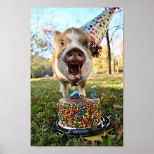 Poster Funny Birthday Pig