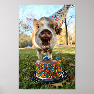 Poster Funny Birthday Pig