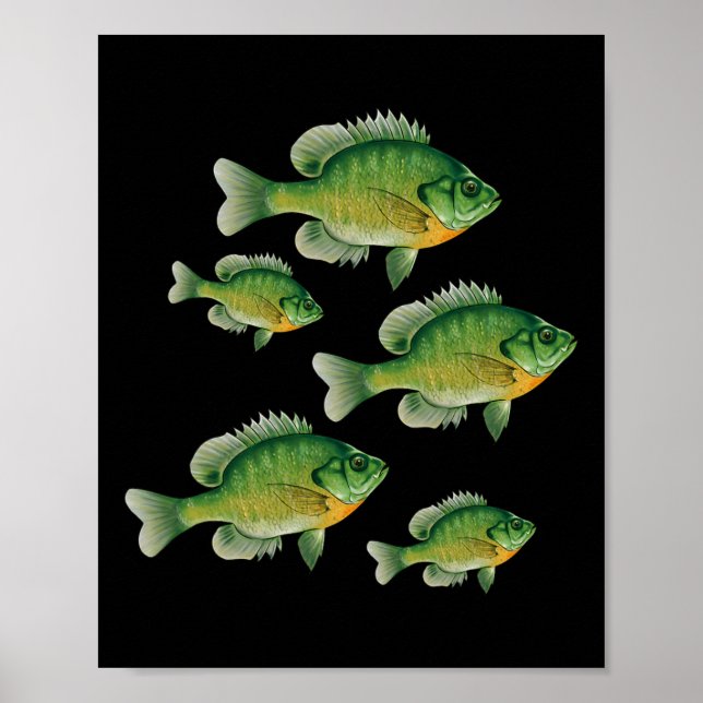 Poster Funny Bluegill Sunfish Fishing Freshwater Fish Ang (Frente)