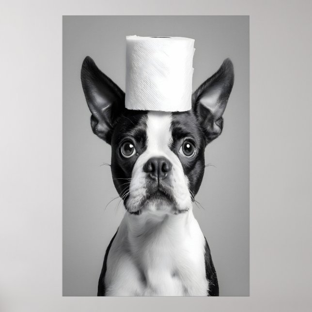 Poster Funny Boston Terrier Bathroom Print, Toilet Paper (Frente)
