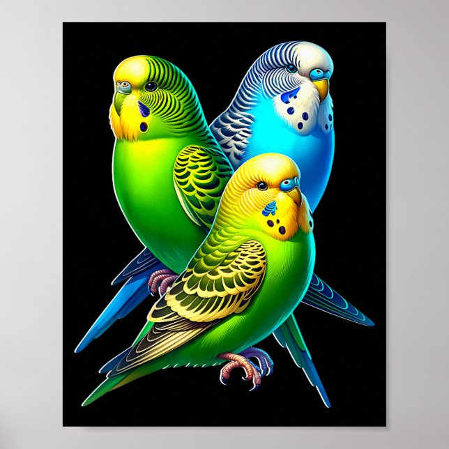 Poster Funny Budgie Budgerigar Design  (Frente)