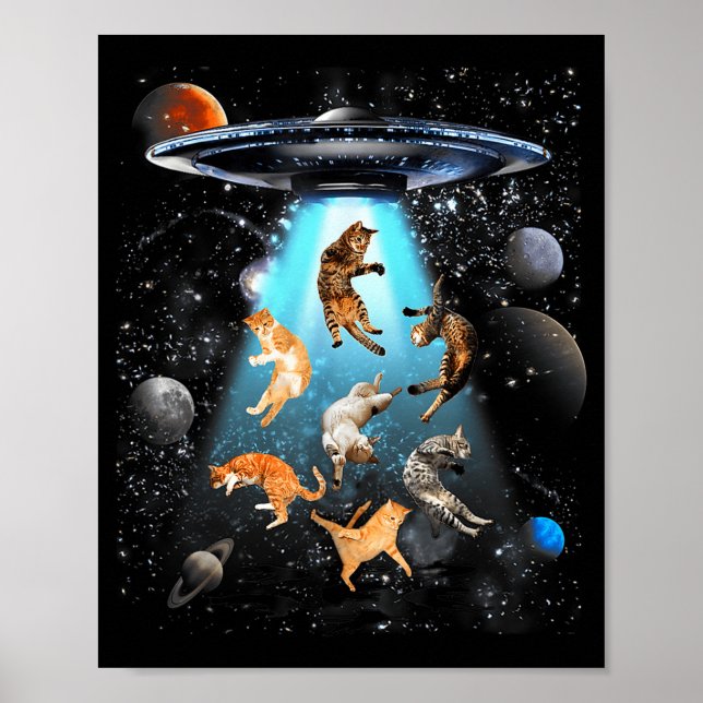 Poster Funny Cat Men Women Graphic For Men Women Kids  (Frente)