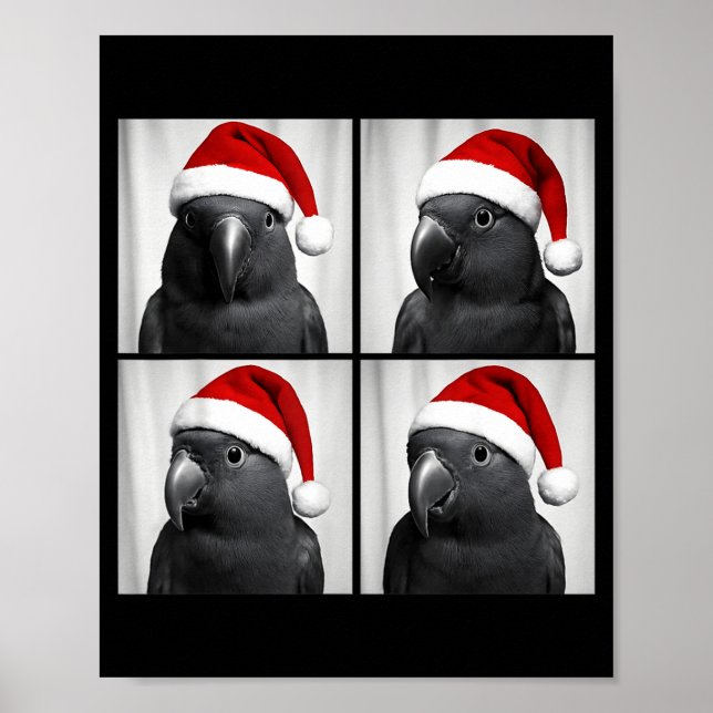 Poster Funny Christmas Eclectus Parrot Santa Photo Booth  (Frente)