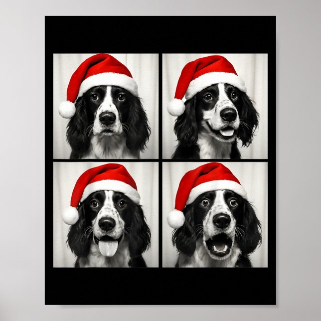 Poster Funny Christmas English Springer Spaniel Santa Pho (Frente)