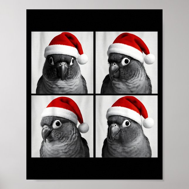 Poster Funny Christmas Green Cheek Conure Santa Photo Boo (Frente)