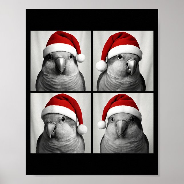 Poster Funny Christmas Quaker Parrot Santa Photo Booth  (Frente)