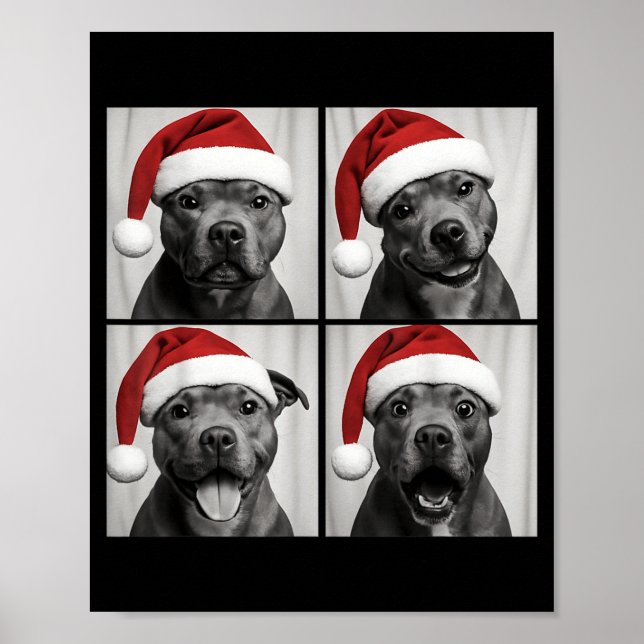 Poster Funny Christmas Staffordshire Bull Terrier Santa P (Frente)