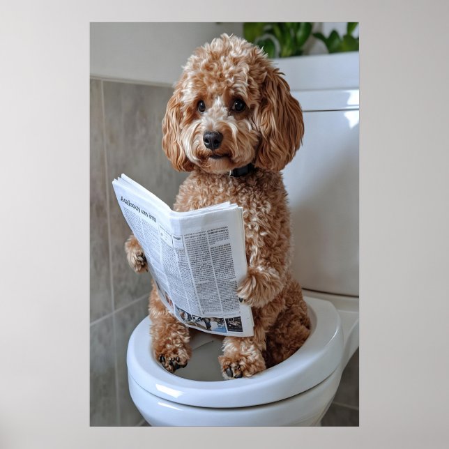 Poster Funny Cockapoo Bathroom Print, Toilet Newspaper (Frente)