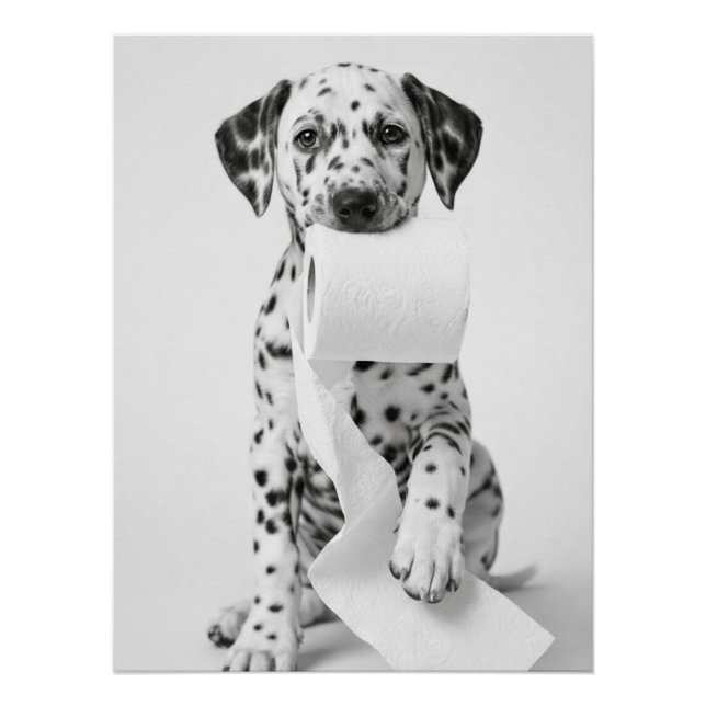 Pôster Funny Dalmatian Puppy Holding Toilet Paper Minimal (Frente)