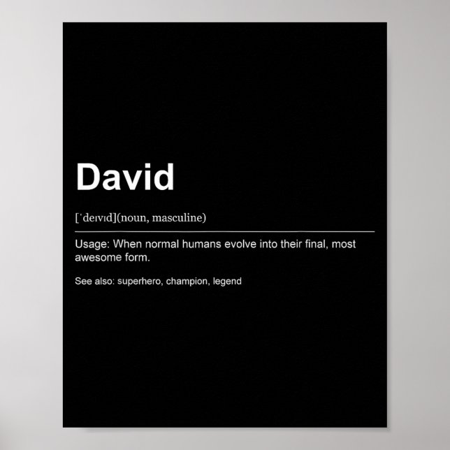 Poster Funny Definition Quote For The Name David _  (Frente)