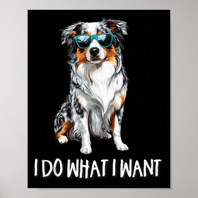 Poster Funny Do What I Want Blue Merle Australian Shepher (Frente)