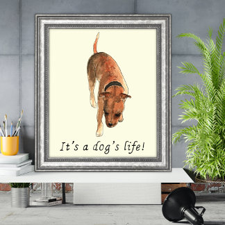 Poster Funny Dogs life Staffordshire Bull Terrier Art