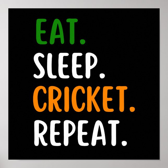 Poster Funny Eat Sleep Cricket Repeat (Frente)