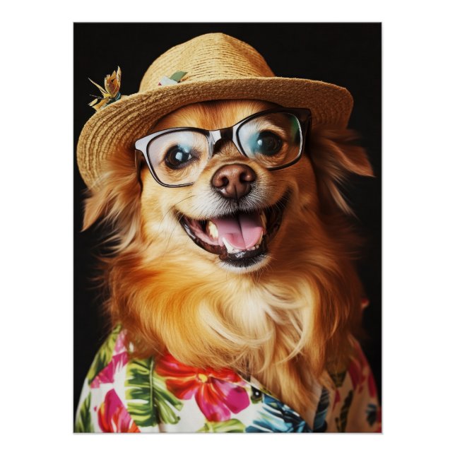 Pôster Funny Fluffy Dog with Hat, Glasses & Hawaiian Shir (Frente)