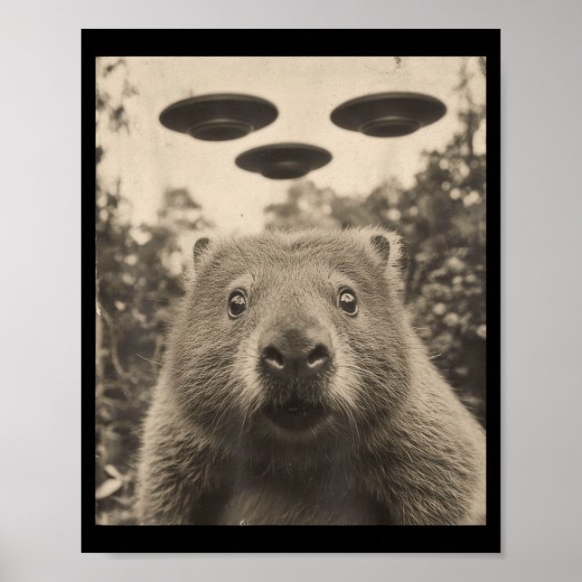Poster Funny Groundhog Selfie With Ufos Weird Groundhog  (Frente)