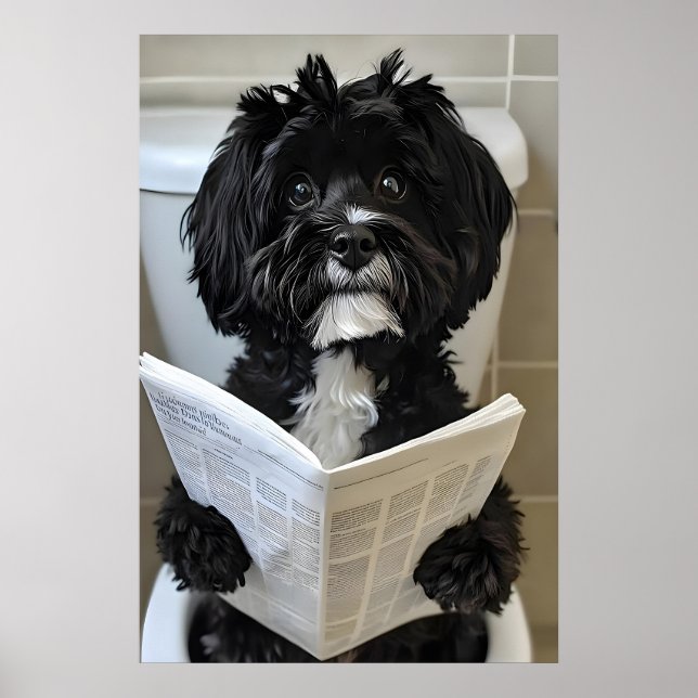 Poster Funny Havanese Dog Print, Newspaper Bathroom (Frente)