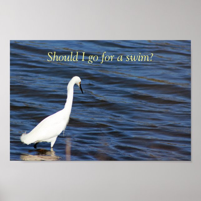 Poster Funny Heron (Frente)