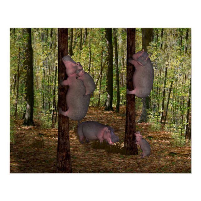 Pôster Funny Koala-Wannabe Hippos (Frente)