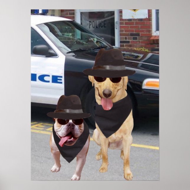 Pôster Funny Lab e Bull Dog (Frente)