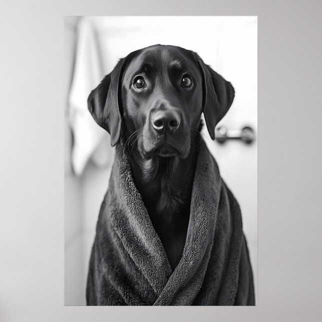 Poster Funny Labrador Bathrobe Print, Bathroom Dog Art (Frente)