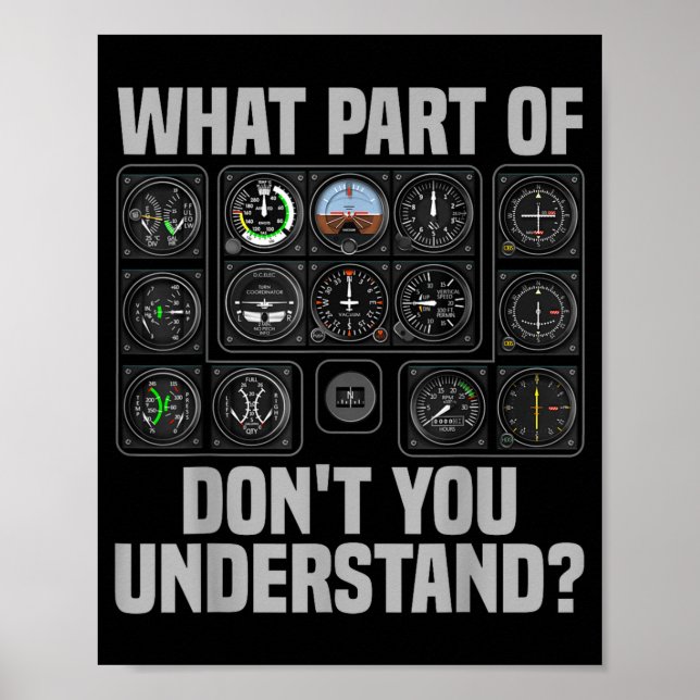 Poster Funny Lot Design For Men Women Airplane Airline Lo (Frente)